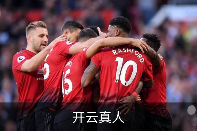 开云真人公司简介